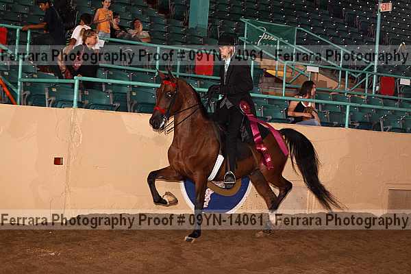 Proof 09yn-14061