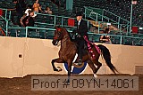 09yn-14061 proof