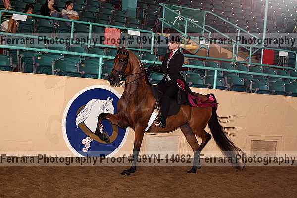 Proof 09yn-14062