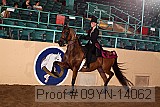 09yn-14062 proof