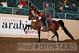09yn-14063 proof