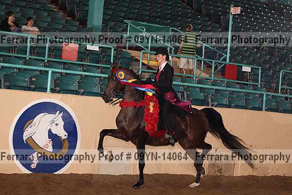 Proof 09yn-14064