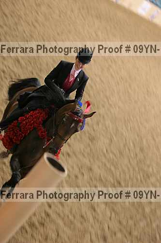 Proof 09yn-14065