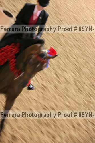 Proof 09yn-14066