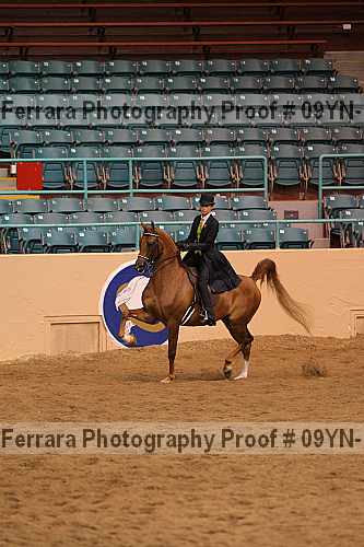 Proof 09yn-18105