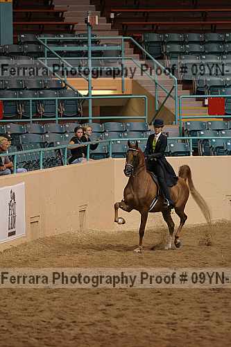 Proof 09yn-18106