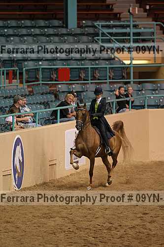 Proof 09yn-18107