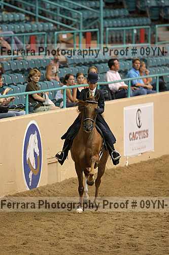 Proof 09yn-18108