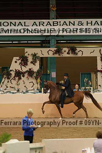 Proof 09yn-18109