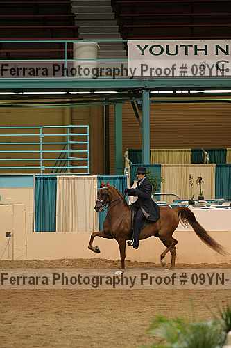 Proof 09yn-18110