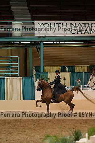 Proof 09yn-18114