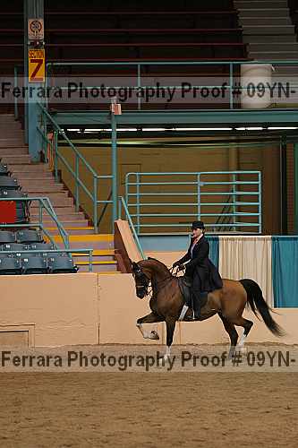 Proof 09yn-18116