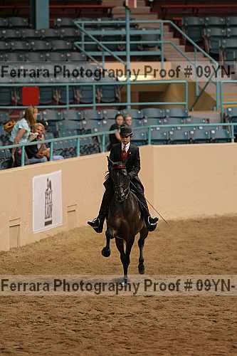 Proof 09yn-18117