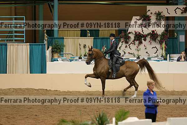 Proof 09yn-18118