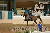 09yn-18118 proof