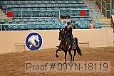 09yn-18119 proof