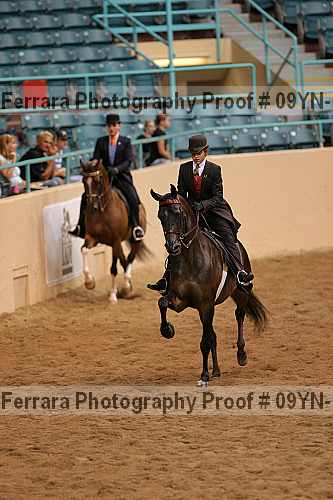 Proof 09yn-18120