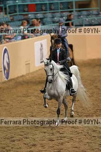 Proof 09yn-18122