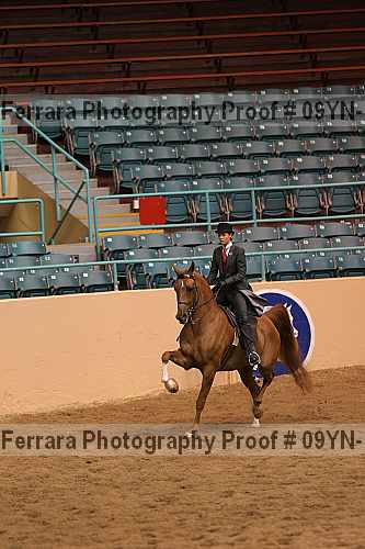 Proof 09yn-18124