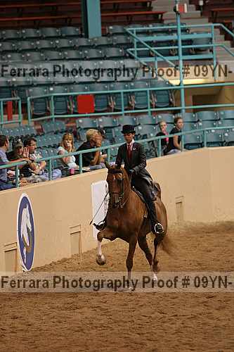 Proof 09yn-18125