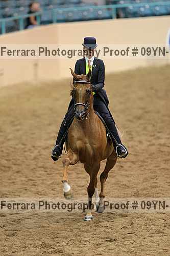 Proof 09yn-18127