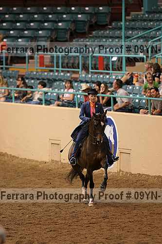 Proof 09yn-18132