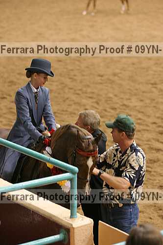 Proof 09yn-18144