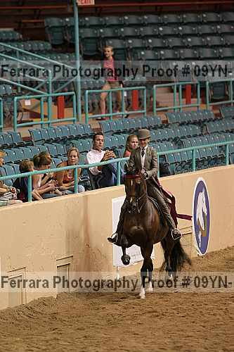 Proof 09yn-18156