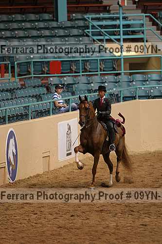 Proof 09yn-18160