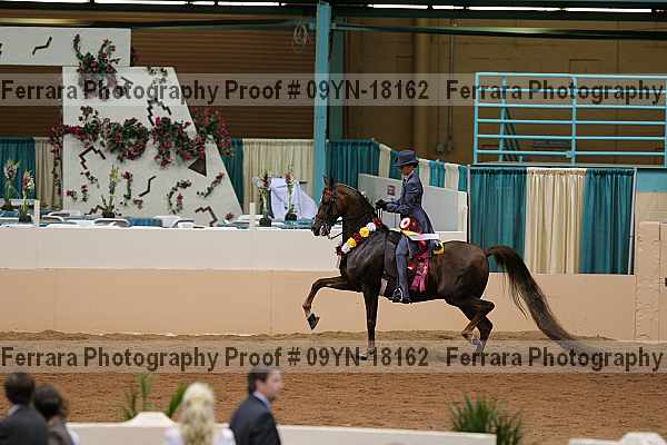 Proof 09yn-18162