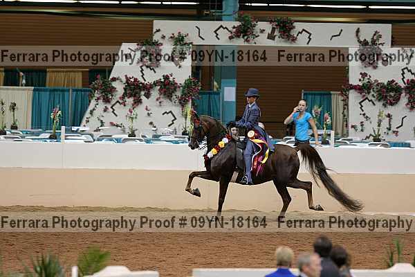 Proof 09yn-18164