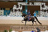 09yn-18164 proof