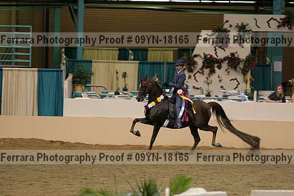Proof 09yn-18165