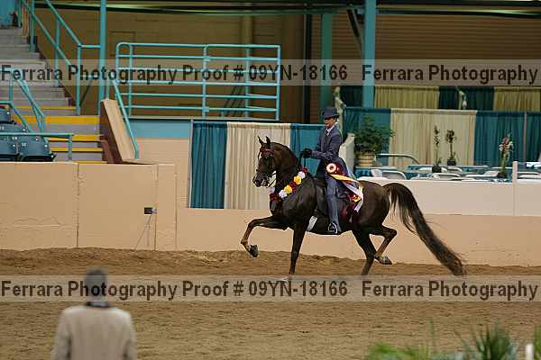 Proof 09yn-18166