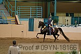 09yn-18166 proof