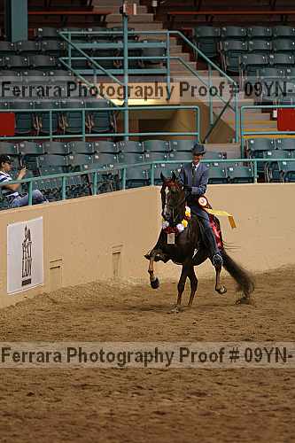 Proof 09yn-18167