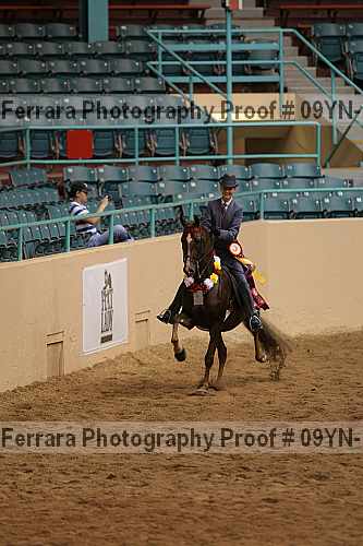 Proof 09yn-18168