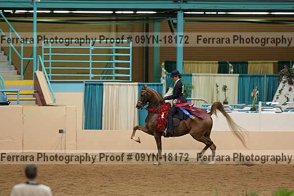 Proof 09yn-18172