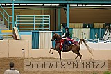09yn-18172 proof