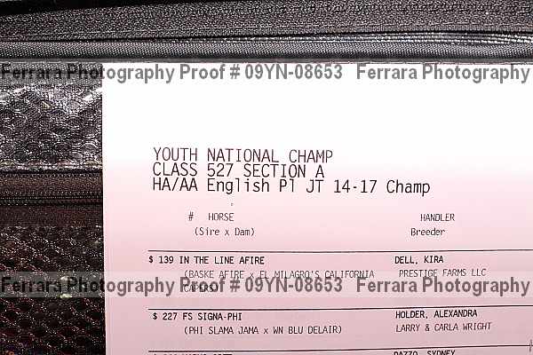 Proof 09yn-08653