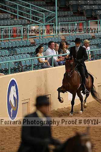 Proof 09yn-08673