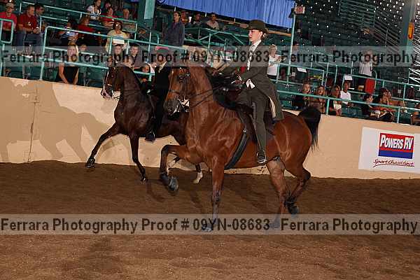 Proof 09yn-08683
