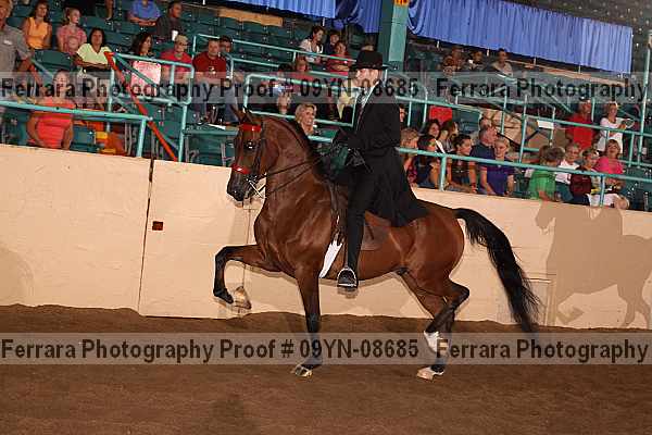 Proof 09yn-08685