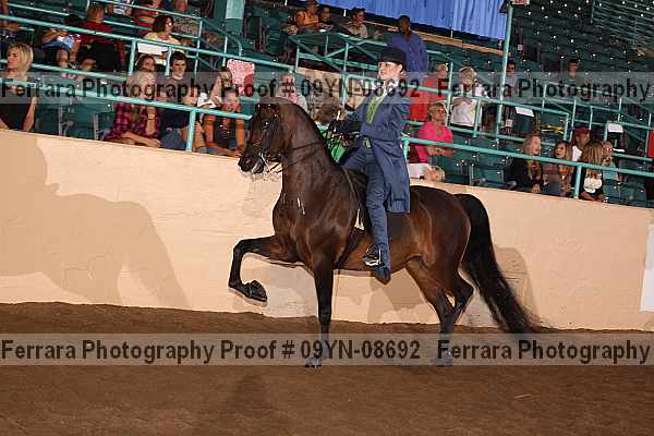 Proof 09yn-08692