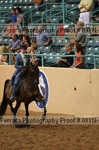 Proof 09yn-08694