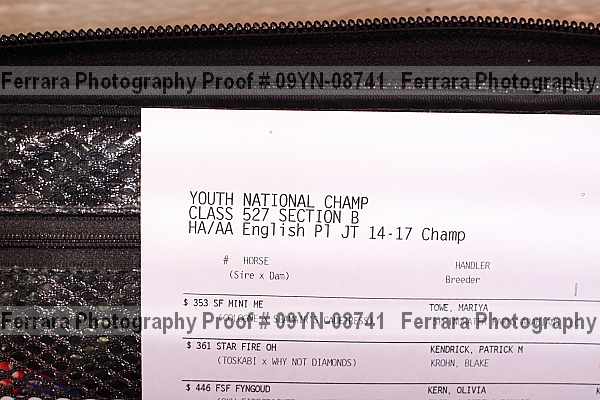 Proof 09yn-08741
