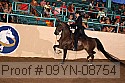 09yn-08754 proof