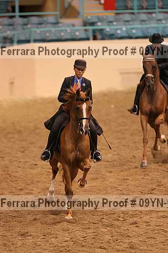Proof 09yn-08761