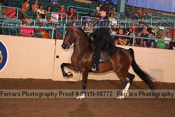 Proof 09yn-08772
