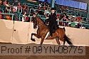 09yn-08775 proof